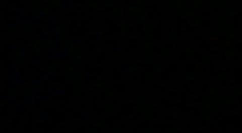 國際公法第五講