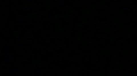 國(guó)際公法第八講