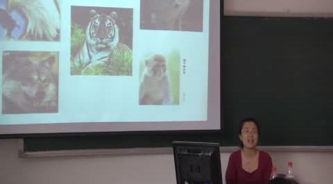 人力資源管理第15講