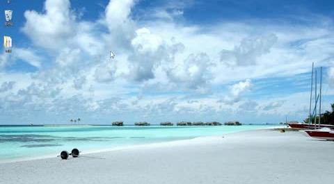 商務(wù)管理綜合應(yīng)用5月14日下午