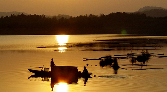各个古琴派别的古琴名家免费教学视频合集