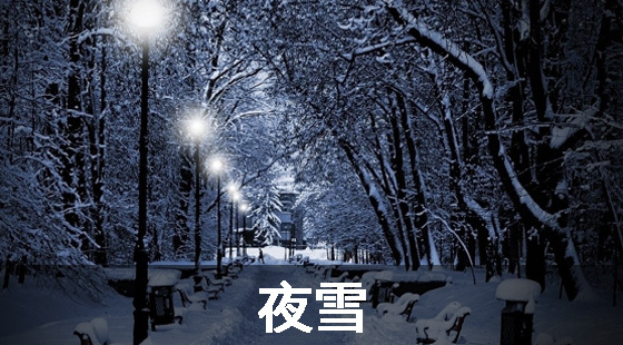 中华好诗词-夜雪