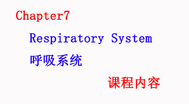 暑期班7.21日 护理词汇速记Chapter7 Respiratory System呼吸系统
