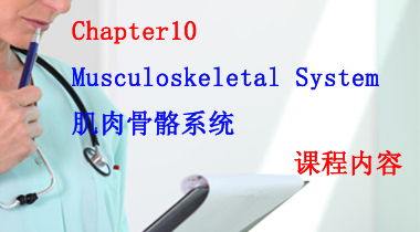 暑期班7.24日 护理词汇速记Chapter10 Musculoskeletal System