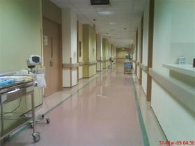 暑期班7.24日 17：00--18：30 我在新加坡的学习生活工作经历