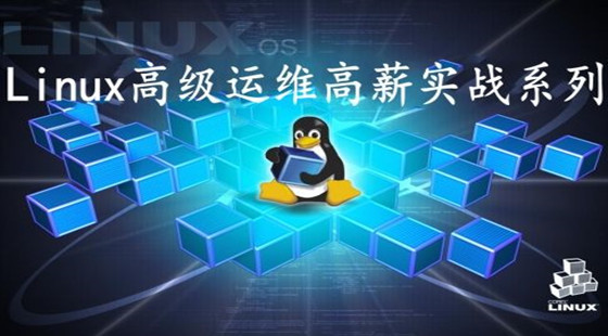 Linux視頻教程之高級(jí)運(yùn)維高薪企業(yè)實(shí)戰(zhàn)