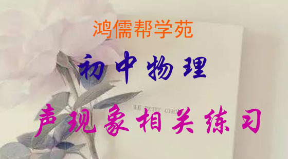 初中物理有關聲現(xiàn)象的練習與總結