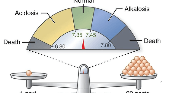 添翼2017-2018年ISPN/RN專業(yè)課&nbsp;9章酸堿平衡