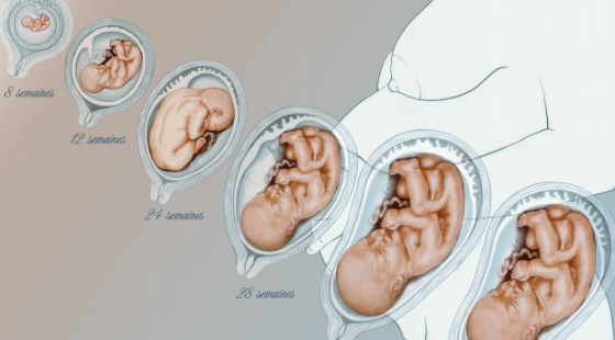 2017-2018年度醫(yī)學(xué)詞匯課&nbsp;第九章&nbsp;產(chǎn)科與新生兒學(xué)