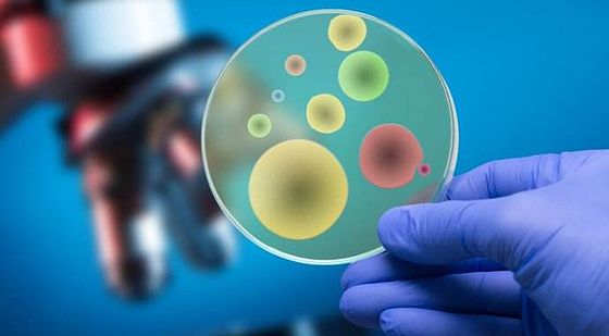 添翼2018-2019&nbsp;ISPN/RN&nbsp;專業(yè)課&nbsp;第16章&nbsp;醫(yī)院環(huán)境安全