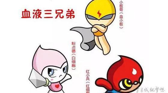 添翼2018-2019&nbsp;ISPN/RN專業(yè)課&nbsp;第34章&nbsp;兒科血液病