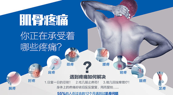 添翼2018-2019&nbsp;ISPN/RN&nbsp;專業(yè)課&nbsp;第64章&nbsp;成人肌骨系統(tǒng)疾病