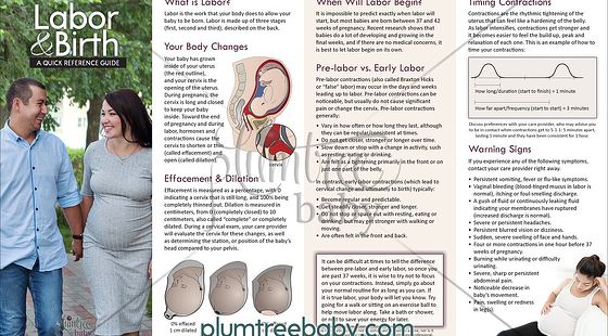 添翼2020-2021&nbsp;ISPN/RN專業(yè)課&nbsp;第27章分娩和胎兒出生
