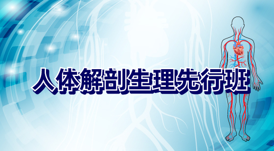 2020年人體解剖先行班