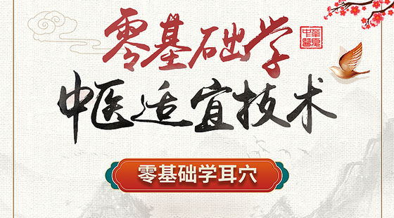 零基礎(chǔ)學(xué)中醫(yī)適宜技術(shù)-零基礎(chǔ)學(xué)耳穴